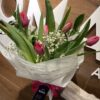 Tulipanes S